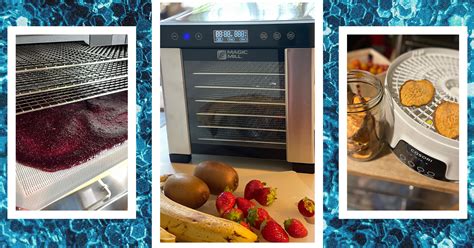 dehydrating machine for vegetables|The 4 Best Food Dehydrators, Tested and Reviewed .